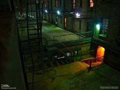 Tapeta National Geographic 692.jpg